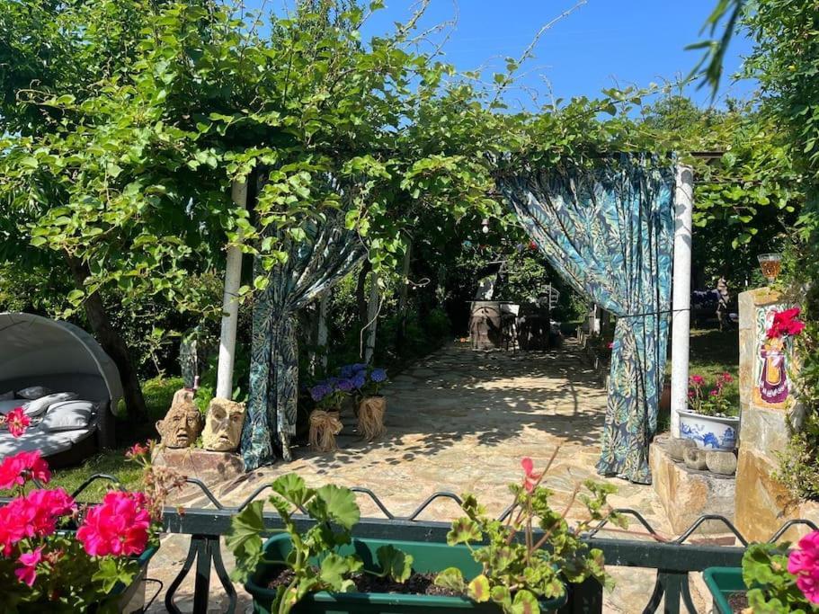 Casa A Boga Ribeira Sacra Villa Abeleda Eksteriør billede